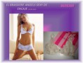 /album/fotogaleria/slide-161-728-jpg/